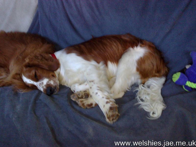 2009-09-10 01.jpg - Zen